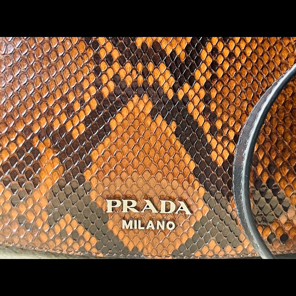 Authentic Prada Python Shoulder Bag - image 4